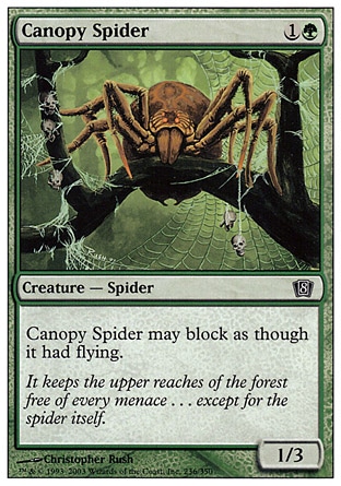 《梢の蜘蛛/Canopy Spider》 [8ED]