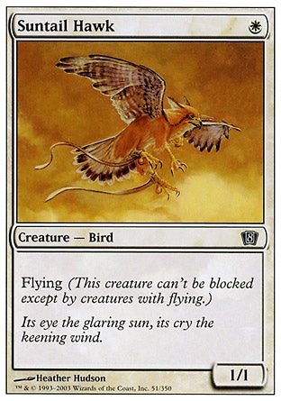《陽光尾の鷹/Suntail Hawk》 [8ED]