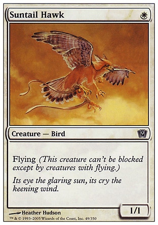 《陽光尾の鷹/Suntail Hawk》 [9ED]