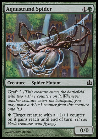 Aquastrand Spider (2, 1G) 0/0\nCreature  — Spider Mutant\nGraft 2 (This creature enters the battlefield with two +1/+1 counters on it. Whenever another creature enters the battlefield, you may move a +1/+1 counter from this creature onto it.)<br />\n{G}: Target creature with a +1/+1 counter on it gains reach until end of turn. (It can block creatures with flying.)\nCommander: Common, Dissension: Common\n\n