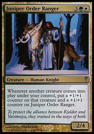 《柏槙教団のレインジャー/Juniper Order Ranger》 [CSP]
