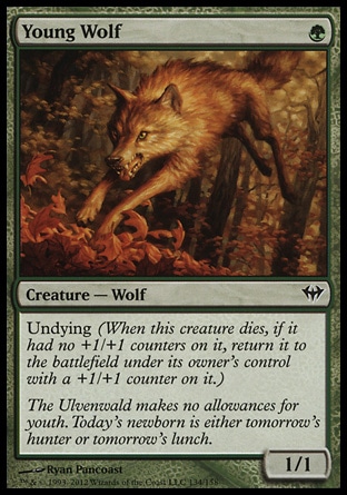 MTG: Dark Ascension 134: Young Wolf 