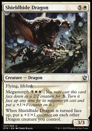 Magic: Dragons of Tarkir 037: Shieldhide Dragon Foil 