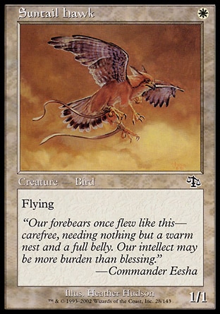 Magic: Judgment 028: Suntail Hawk 