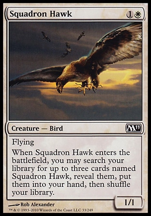 《戦隊の鷹/Squadron Hawk》 [M11]