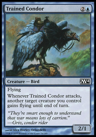 《訓練されたコンドル/Trained Condor》 [M14]