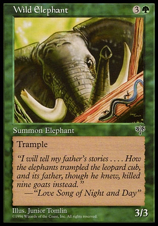 《野生の象/Wild Elephant》 [MIR]