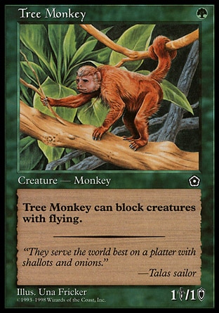 《樹上生活の猿/Tree Monkey》 [P02]