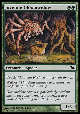 Juvenile Gloomwidow (2, GG) 1/3\nCreature  — Spider\nReach (This can block creatures with flying.)<br />\nWither (This deals damage to creatures in the form of -1/-1 counters.)\nShadowmoor: Common\n\n