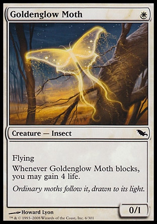 《黄金光の蛾/Goldenglow Moth》 [SHM]
