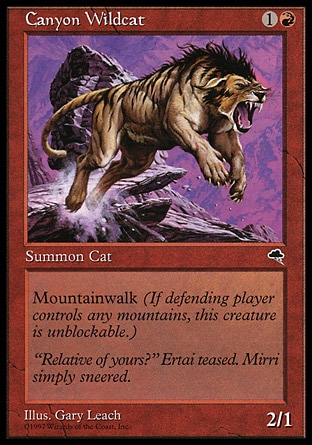 《峡谷の山猫/Canyon Wildcat》 [TMP]