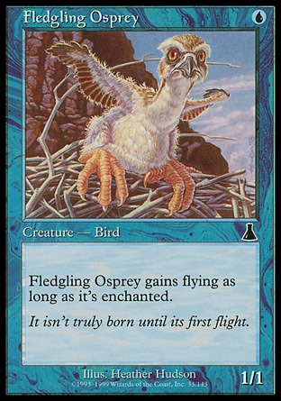 Fledgling Osprey (1, U) 1/1\nCreature  — Bird\nFledgling Osprey has flying as long as it's enchanted.\nUrza's Destiny: Common\n\n
