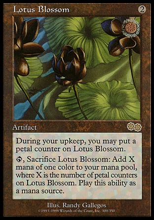 《水蓮の花/Lotus Blossom》 [USG]