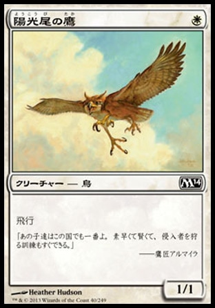 《陽光尾の鷹/Suntail Hawk》 [M14]
