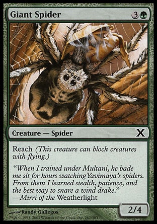《大蜘蛛/Giant Spider》 [10E]