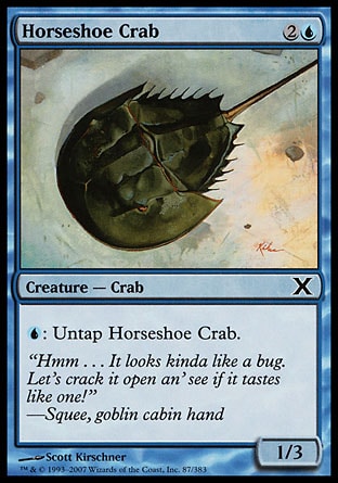 《カブトガニ/Horseshoe Crab》 [10E]