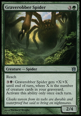 《墓荒らし蜘蛛/Graverobber Spider》 [BNG]
