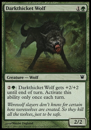 《暗茂みの狼/Darkthicket Wolf》 [ISD]