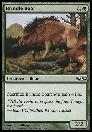 《斑の猪/Brindle Boar》 [M14]