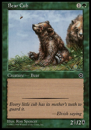 《仔熊/Bear Cub》 [P02]