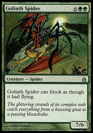 《巨体の蜘蛛/Goliath Spider》 [RAV]