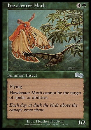 《鷹喰い蛾/Hawkeater Moth》 [USG]