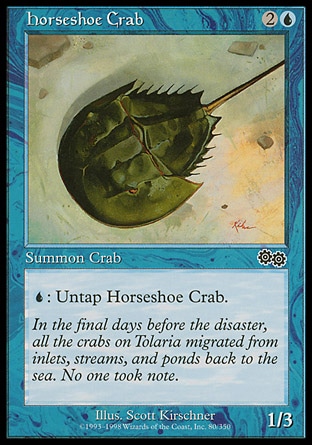 《カブトガニ/Horseshoe Crab》 [USG]