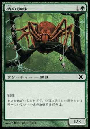 《梢の蜘蛛/Canopy Spider》 [10E]