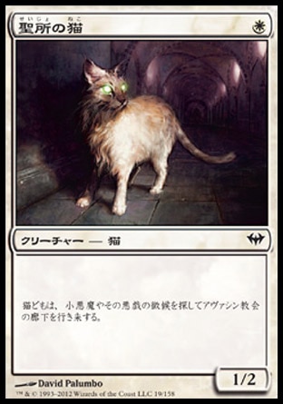 《聖所の猫/Sanctuary Cat》 [DKA]