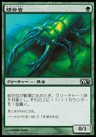 《結合虫/Bond Beetle》 [M13]